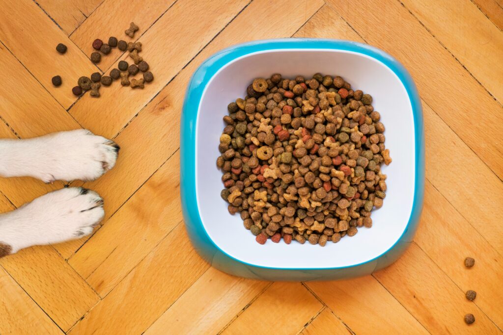 a dog lying on the floor next to a bowl of food