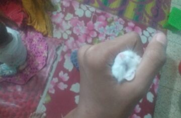 WhatsApp-Image-03