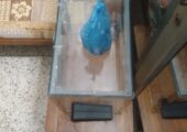 aquarium fish tank