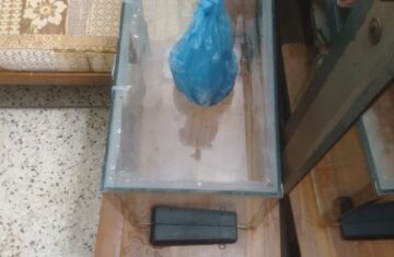 aquarium-tank-1