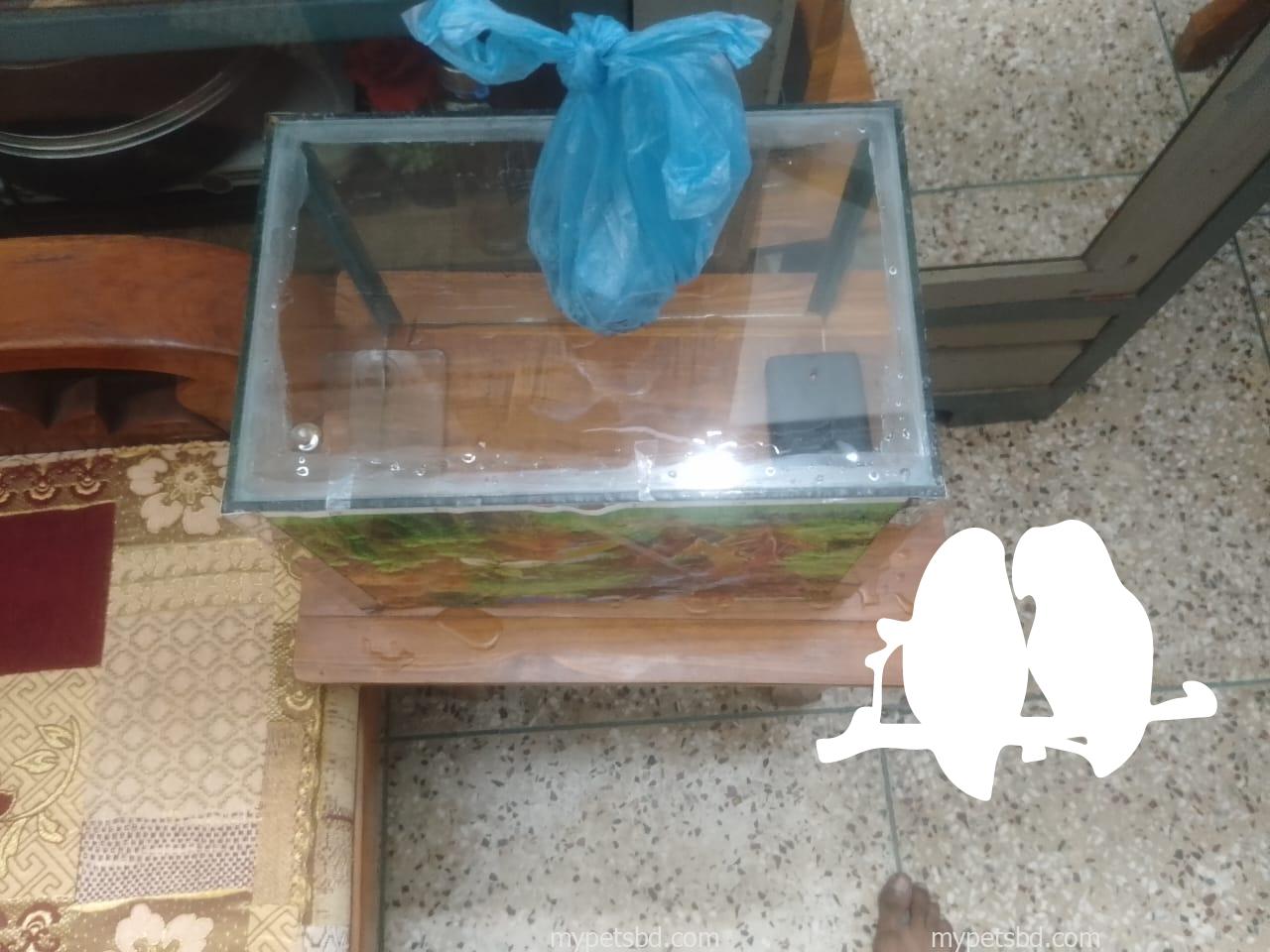 aquarium fish tank