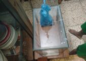 aquarium fish tank