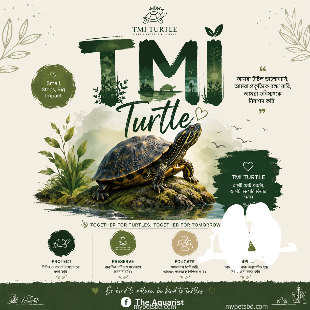 Turtle For Sell